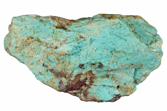 Tumbled Turquoise Section - Number Mine, Carlin, NV #292288